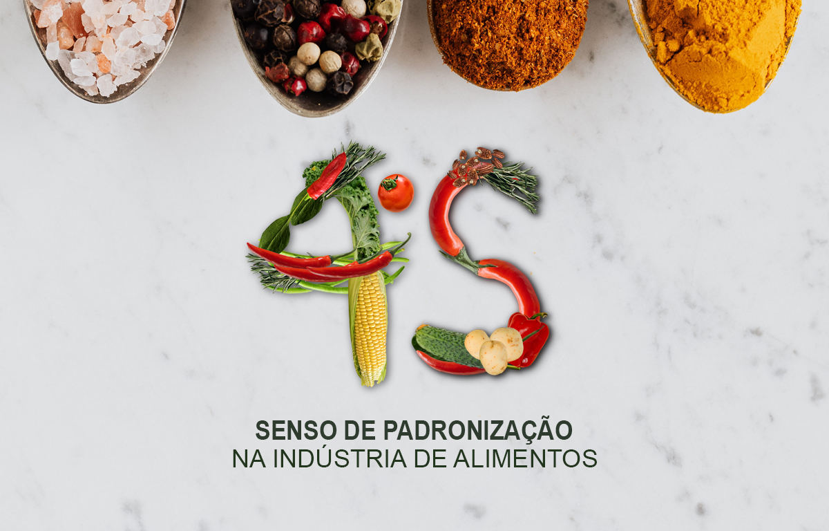 SENSO DE PADRONIZAÇÃO 5S